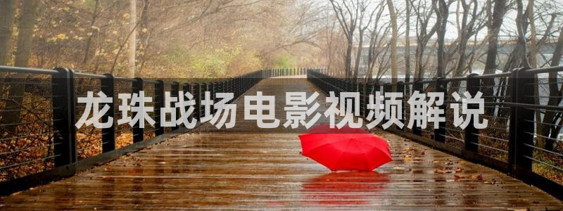 大茄子视频