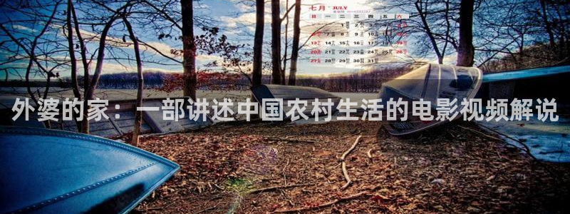 茄子视频a