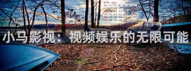 茄子视频视频